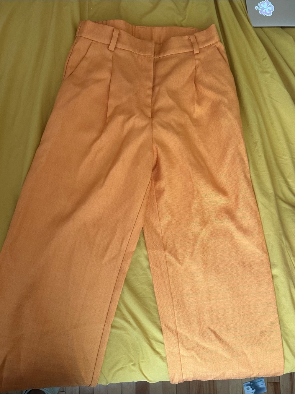 Dress pants